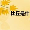 比丘是什么意思（比丘指的是什么）