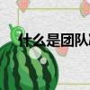 什么是团队凝聚力（团队凝聚力的定义）