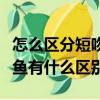 怎么区分短吻鳄和其他鳄鱼（短吻鳄和其他鳄鱼有什么区别）