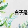 白子是什么东西（白子是何物）