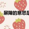 屏障的意思是什么（屏障的意思简单介绍）