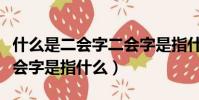 什么是二会字二会字是指什么(啥是二会字二会字是指什么)