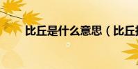 比丘是什么意思(比丘指的是什么)