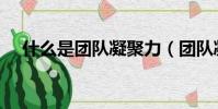 什么是团队凝聚力(团队凝聚力的定义)