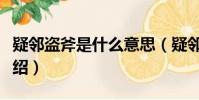 疑邻盗斧是什么意思(疑邻盗斧解释及出处介绍)