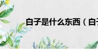 白子是什么东西(白子是何物)