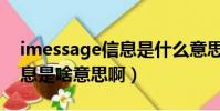 imessage信息是什么意思啊(imessage信息是啥意思啊)