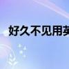 好久不见用英语怎么说（好久不见的英文）