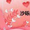 沙砾的拼音（沙砾怎么读）