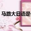 马路大日语是什么意思（马路大日语的意思）