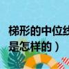 梯形的中位线定理是什么（梯形的中位线定理是怎样的）