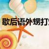 歇后语外甥打灯笼（歇后语外甥打灯笼解释）
