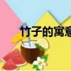 竹子的寓意是什么（竹子的寓意介绍）