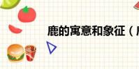 鹿的寓意和象征(鹿介绍)
