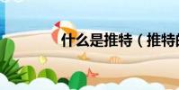 什么是推特(推特的简介)
