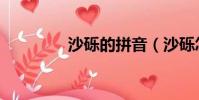 沙砾的拼音(沙砾怎么读)