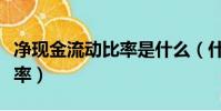 净现金流动比率是什么(什么是净现金流动比率)