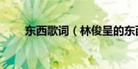 东西歌词(林俊呈的东西完整歌词)