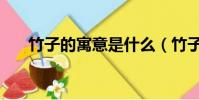 竹子的寓意是什么(竹子的寓意介绍)