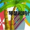 琴瑟和鸣什么意思（琴瑟和鸣的意思）