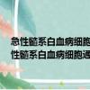 急性髓系白血病细胞通过自净化体系外分泌miR-34抵抗衰老（关于急性髓系白血病细胞通过自净化体系外分泌miR-34抵抗衰老介绍）