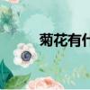 菊花有什么特点（菊花特点简述）