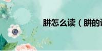 肼怎么读(肼的读音)