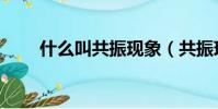 什么叫共振现象(共振现象的解释)