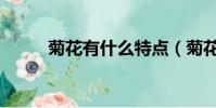 菊花有什么特点(菊花特点简述)