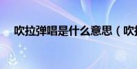 吹拉弹唱是什么意思(吹拉弹唱的解释)