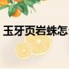 玉牙页岩蛛怎么上去（玉牙页岩蛛如何上去）