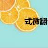 式微翻译（式微的原文是什么）