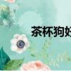茶杯狗好养吗（茶杯狗好不好养）