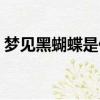 梦见黑蝴蝶是什么意思（梦见黑蝴蝶的解释）