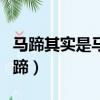 马蹄其实是马的什么部位（哪个部位是马的马蹄）