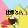 社保怎么自己缴纳（社保如何自己缴纳）