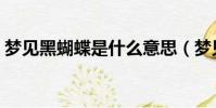 梦见黑蝴蝶是什么意思(梦见黑蝴蝶的解释)
