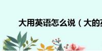 大用英语怎么说(大的英语是什么)