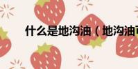 什么是地沟油(地沟油可以食用吗)