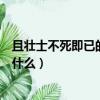 且壮士不死即已的且什么意思（且壮士不死即已的且意思是什么）