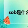 sob是什么意思（英语sob什么意思）