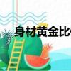身材黄金比例（身材的黄金比例是多少）