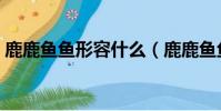 鹿鹿鱼鱼形容什么(鹿鹿鱼鱼是什么意思呢)