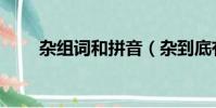 杂组词和拼音(杂到底有哪些组词)