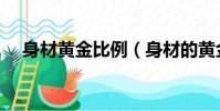 身材黄金比例(身材的黄金比例是多少)
