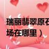 瑞丽翡翠原石批发市场（瑞丽翡翠原石批发市场在哪里）