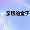 亲切的金子影评（该片讲述了什么故事）