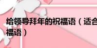 给领导拜年的祝福语(适合送给领导的新年祝福语)