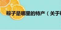 粽子是哪里的特产(关于粽子的小知识)