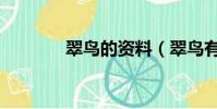 翠鸟的资料(翠鸟有多少种)